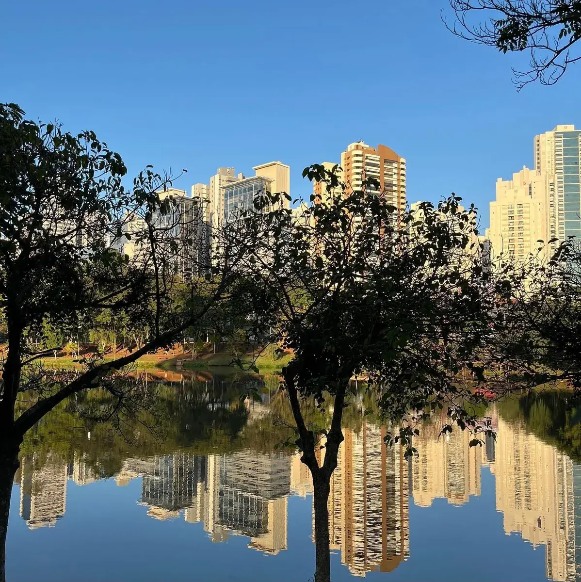 Vista do Lago Igapó e dos edifícios de Londrina próximos ao Vasconcellos Studio